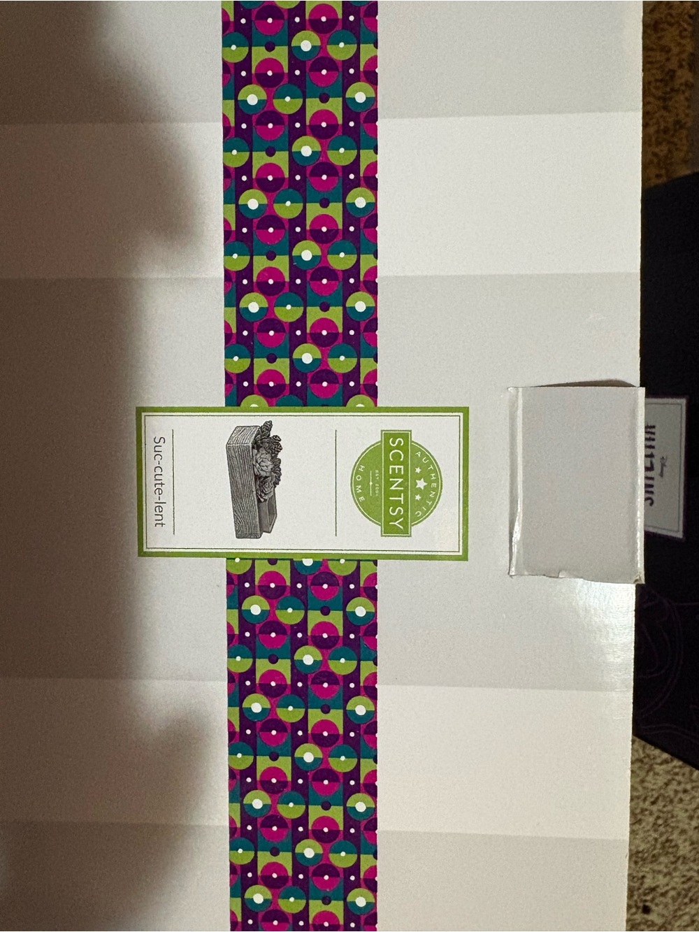 Scentsy Decorative Succulent Planter Box in Purple, Teal, Green, Magenta